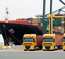 Logistics Services - Ocean Freight